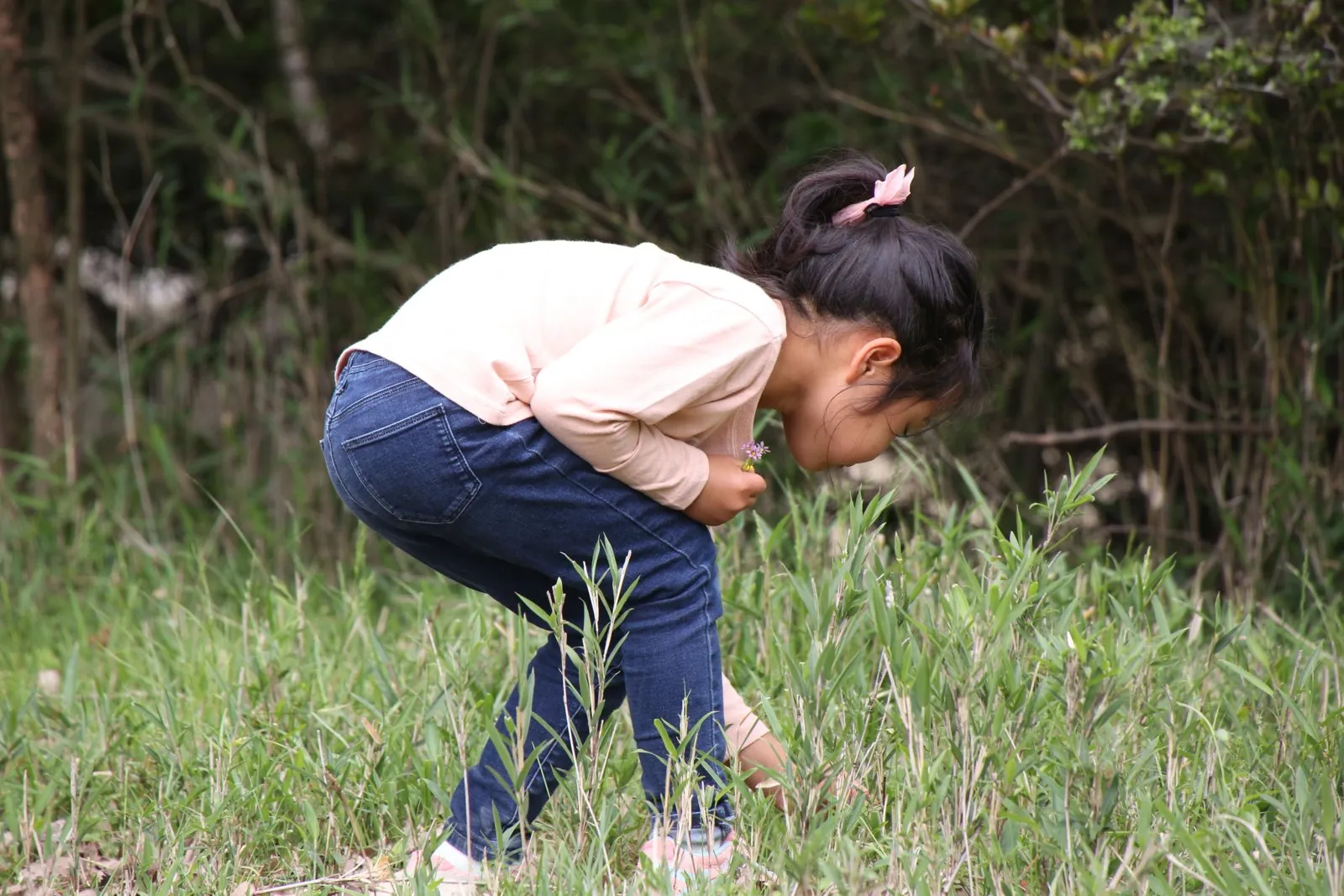 草むらをのぞきこむ子ども