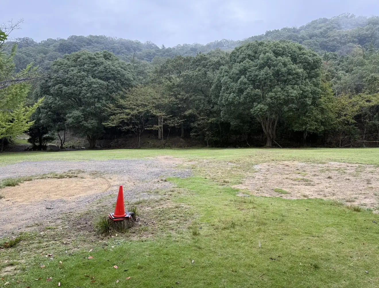 森の駐車場