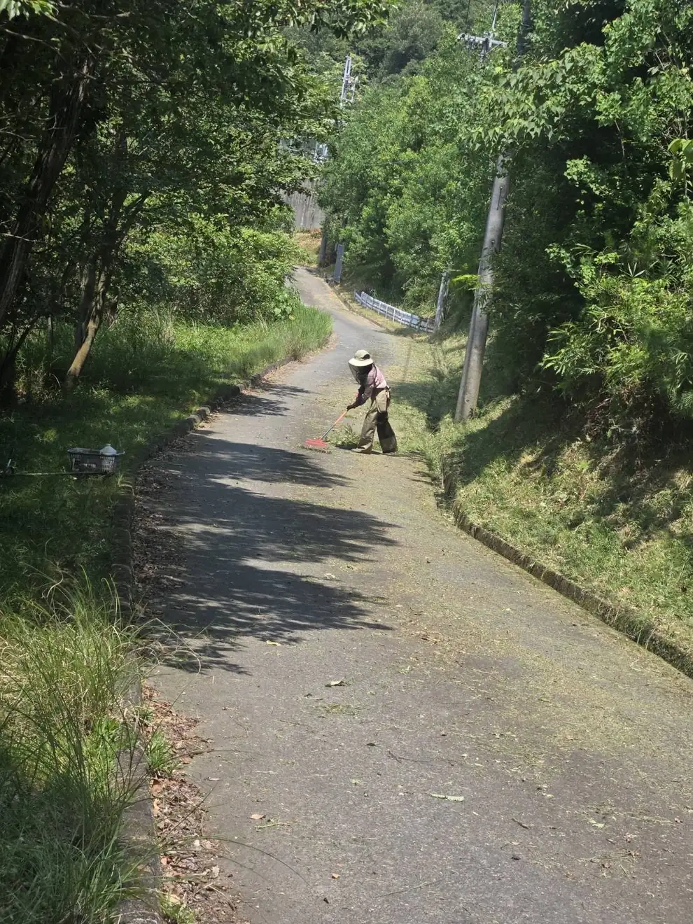 森までの細い道(車1台ぶんの幅)