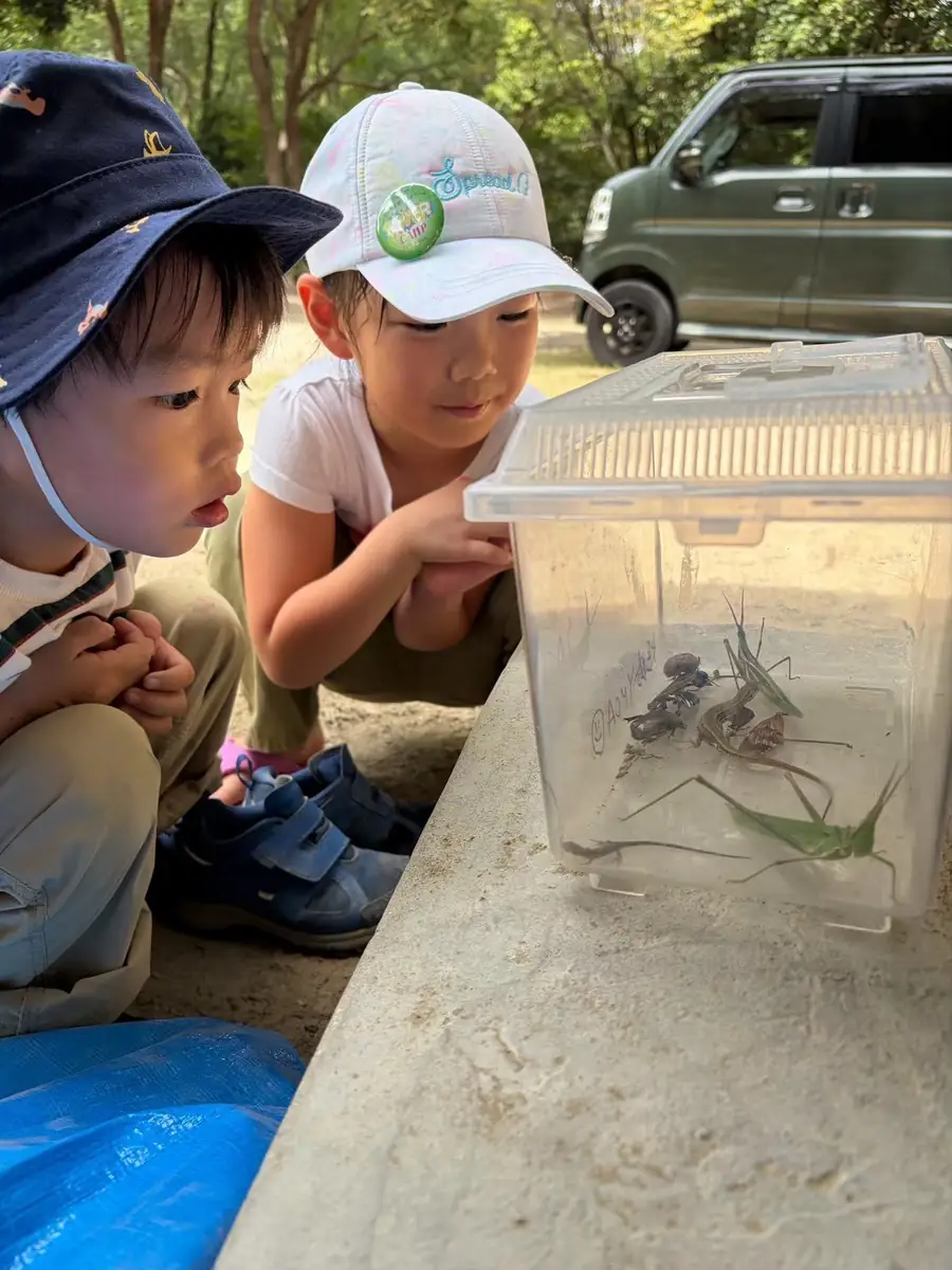 虫かごの中をのぞきこむ子どもたち